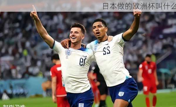 日本做的欧洲杯叫什么-第3张图片-楠锦体育网